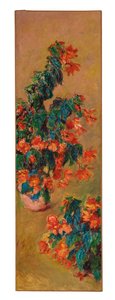 Azalee rosse in vaso