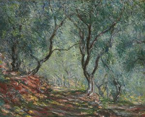 Bois doliviers al giardino Moreno, 1884 da Claude Monet