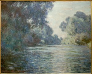 Braccio della Senna vicino a Giverny
