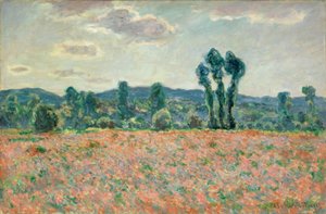 Campo di papaveri