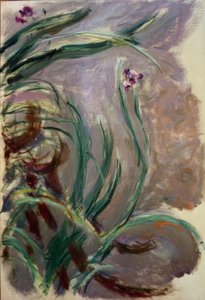 Iris da Claude Monet