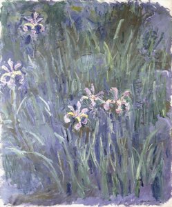 Iris da Claude Monet