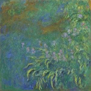 Iris, 1914-17 da Claude Monet