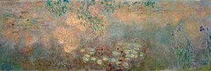 Lo stagno delle ninfee con iris da Claude Monet
