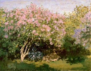 Lillà al sole, 1872-1873