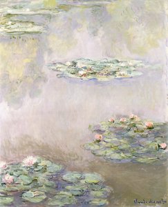 Ninfee, 1908 da Claude Monet