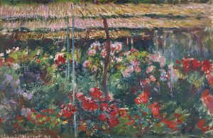 Giardino di peonie