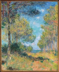 Sentiero di pini a Varengeville, 1882 da Claude Monet