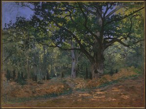 La quercia di Bodmer, foresta di Fontainebleau, 1865 da Claude Monet