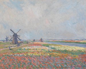 Campi di tulipani vicino a L