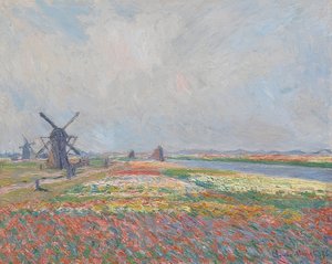 Campi di tulipani vicino a L