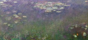 Ninfee (Agapanthus)