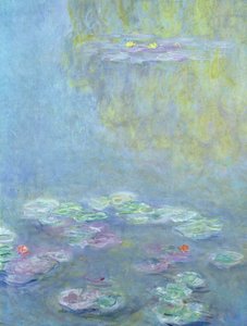 Ninfee, 1906 (dettaglio) da Claude Monet