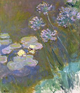 Ninfee e agapanti da Claude Monet