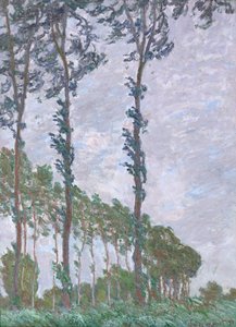 Effetto del vento, serie dei Pioppi, 1891 da Claude Monet
