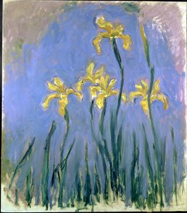 Iris gialli da Claude Monet