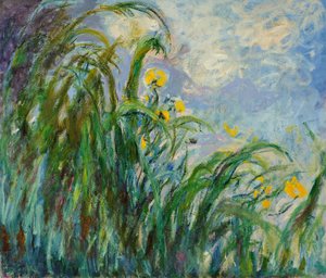 Iris gialli, c. 1925 da Claude Monet