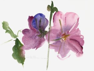 Malvarose, 1988 da Claudia Hutchins Puechavy