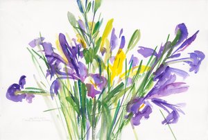 Iris