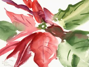 Poinsettia, 2003 da Claudia Hutchins Puechavy