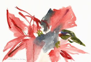 Stella di Natale, 2003 da Claudia Hutchins Puechavy