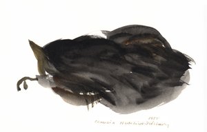 Gatto che dorme, 1985 da Claudia Hutchins Puechavy