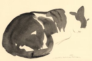 Gatto che dorme, 1984 da Claudia Hutchins Puechavy