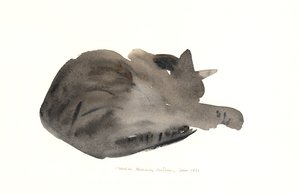 Gatto che dorme, 1985 da Claudia Hutchins Puechavy