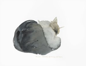Gatto che dorme, 1985 da Claudia Hutchins Puechavy