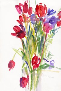 Tulipani