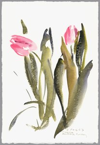 Tulipani, 2003 da Claudia Hutchins Puechavy