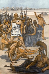 Illustrazione per l