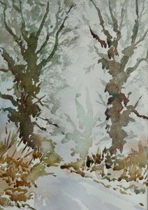 Le querce - una mattina di nebbia gelida