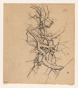 Studio di un albero da Coba Steenhoff