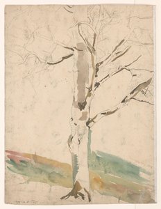 Studio di un albero da Coba Steenhoff