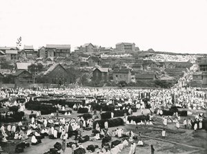 Il mercato, Antananarivo, Madagascar, 1895 da Colonel Stewart