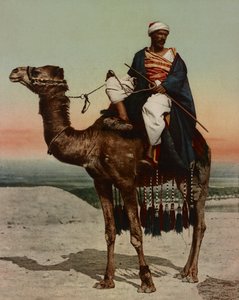 Un beduino, Il Cairo, Egitto