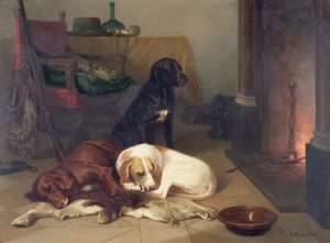 Accanto al caminetto da Conradyn Cunaeus