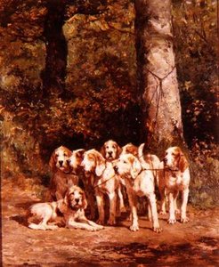 Cani da caccia in un paesaggio boscoso