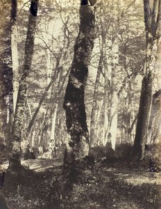 Studio nella foresta di Barbizon da Constant Alexandre Famin