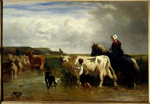 Il passaggio del guado