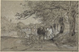 Mucche e pecore sotto gli alberi