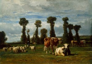 Pascolo in Normandia