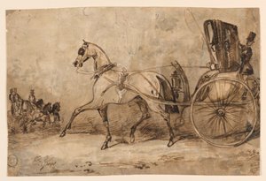 Un cavallo e una carrozza