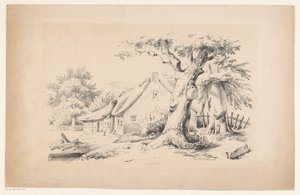 Fattoria e due alberi (Il paesaggio)