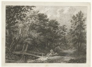 Veduta del bosco con ponte di legno