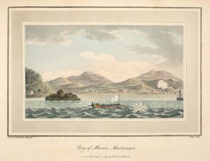 Baia di Maran, Martinica, illustrazione da 