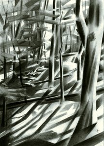 Ombre della foresta (astratto)