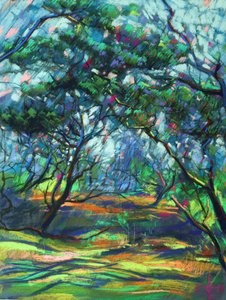 Sentiero nella foresta screziata da Corné Akkers
