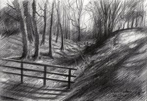 Schizzo di un sentiero nel bosco
